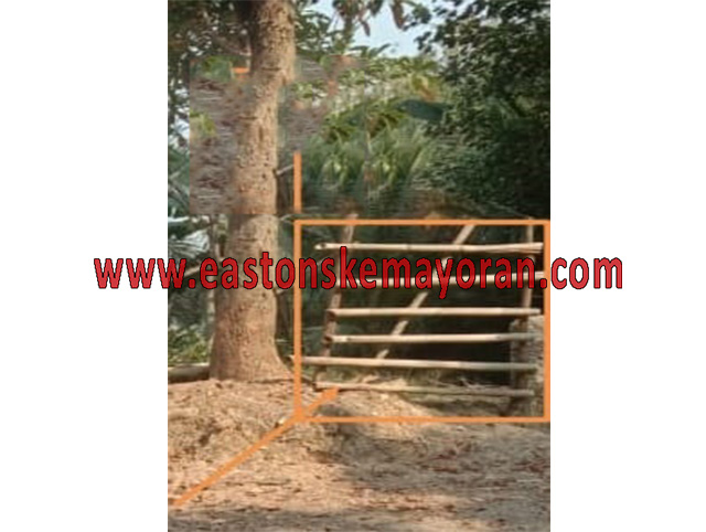 Sukamakmur-KY-007159