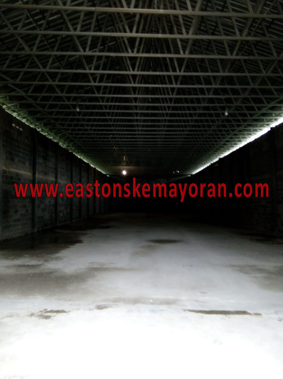 Serang-KY006841