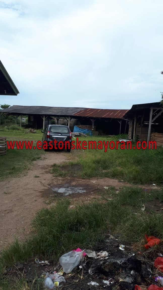 Serang-KY006832