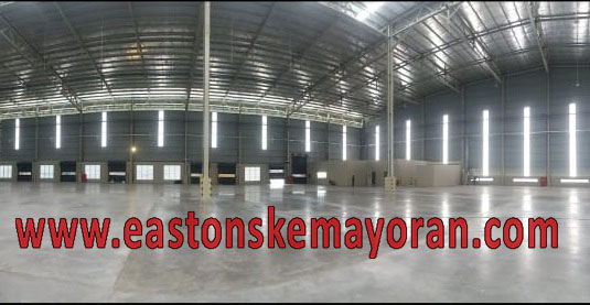 Manyar-KY006492