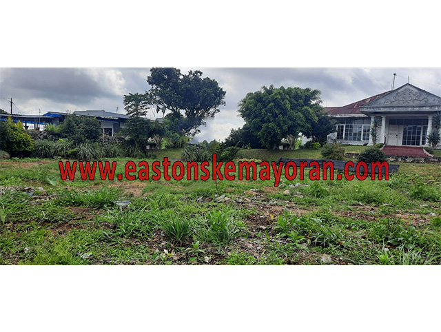Pacet-KY-007336