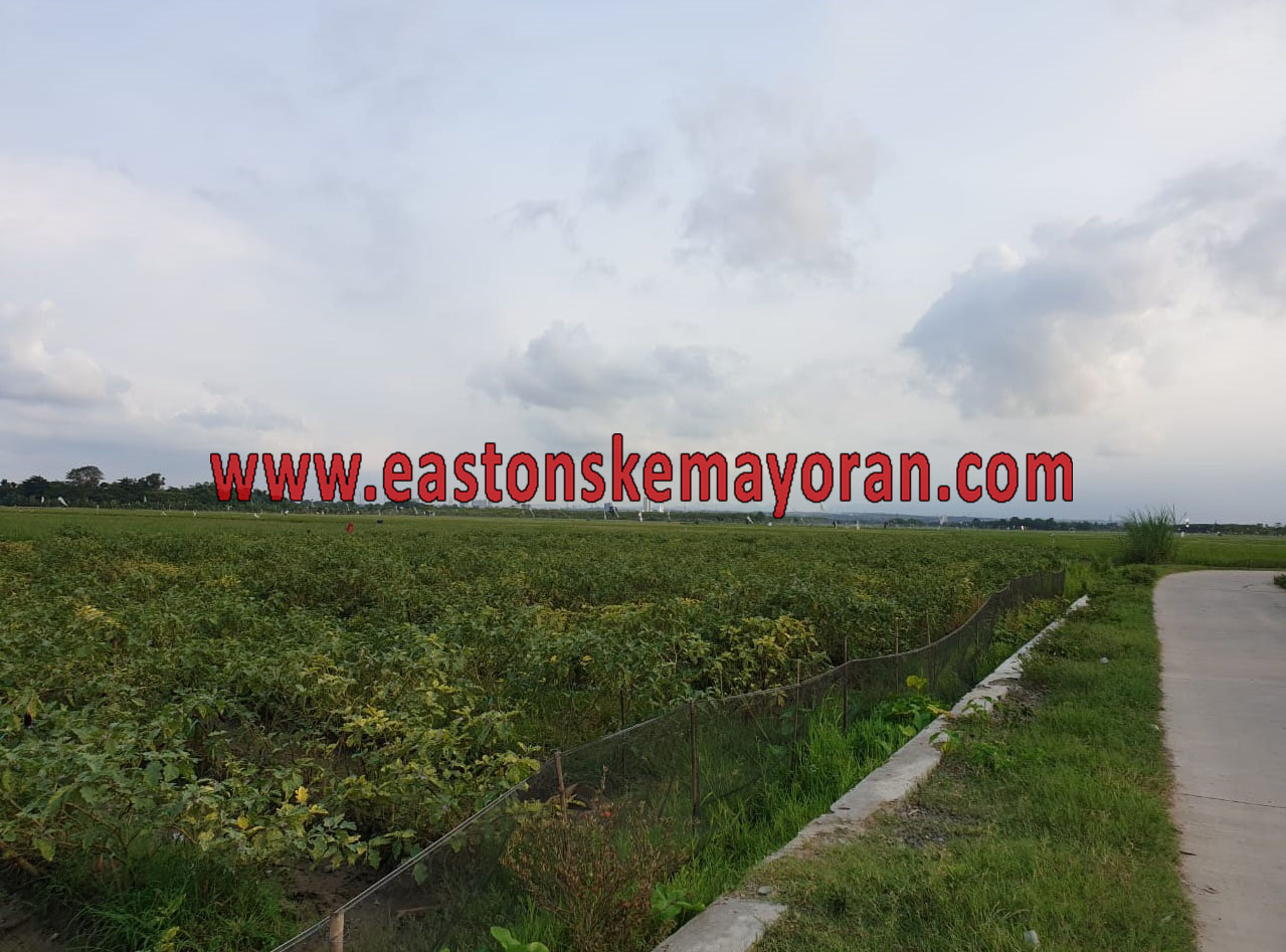 Telukjambe timur-KY005888