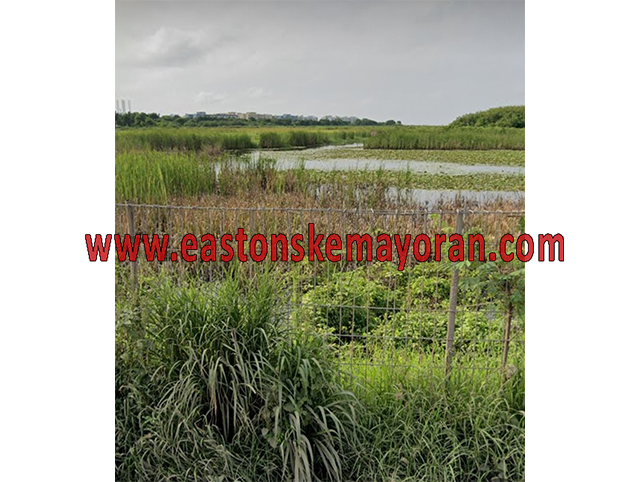 Cilincing-KY-007562
