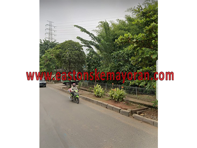 Kelapa gading-KY-007568