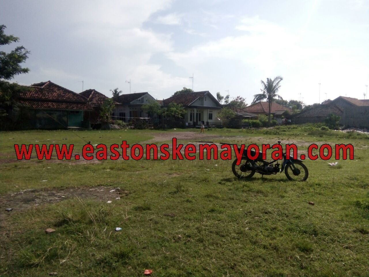 Legon kulon-KY004692