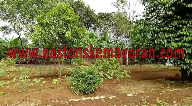 Wanayasa-KY004559