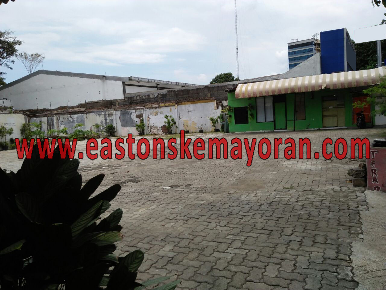 Matraman-KY003758