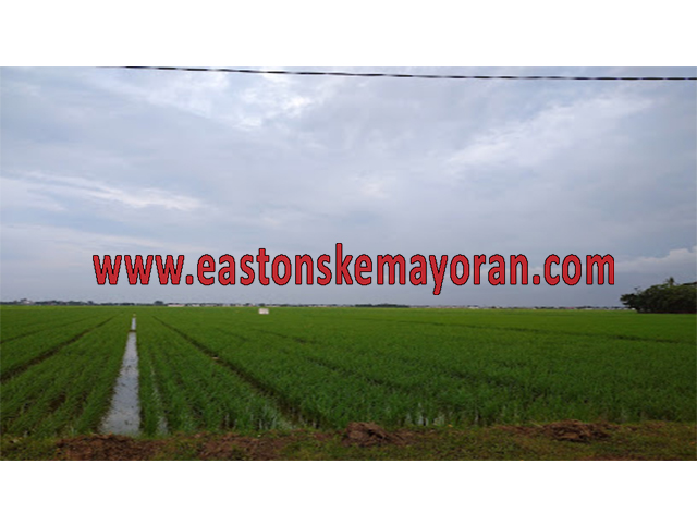 Cibitung-KY-008079
