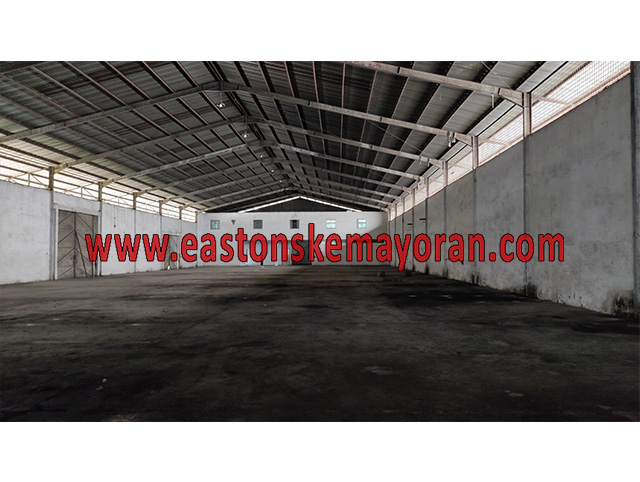 Medan deli-KY-008306