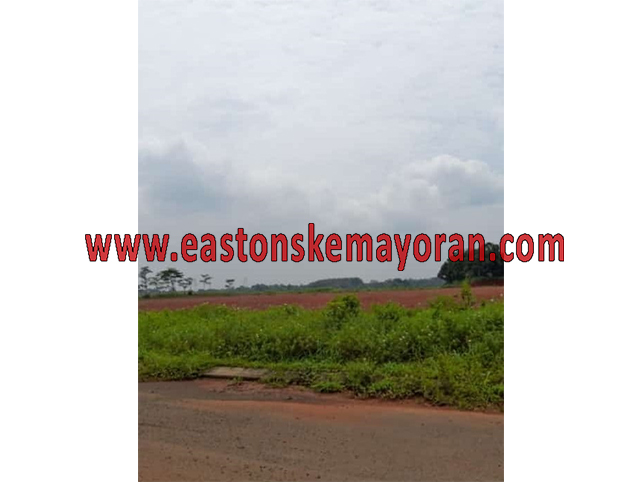 Purwadadi-KY-008336