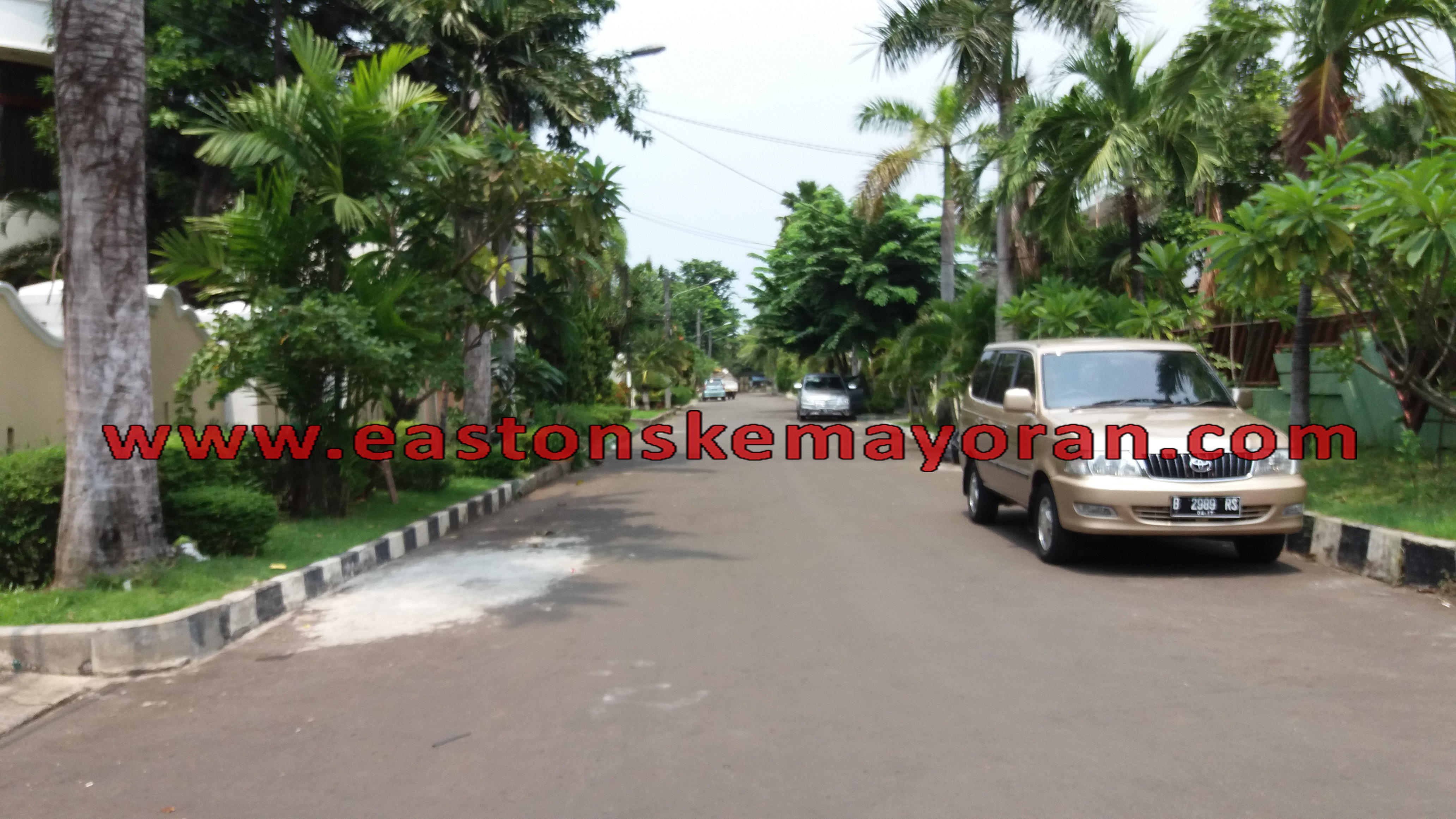 Sunter agung-KY002966