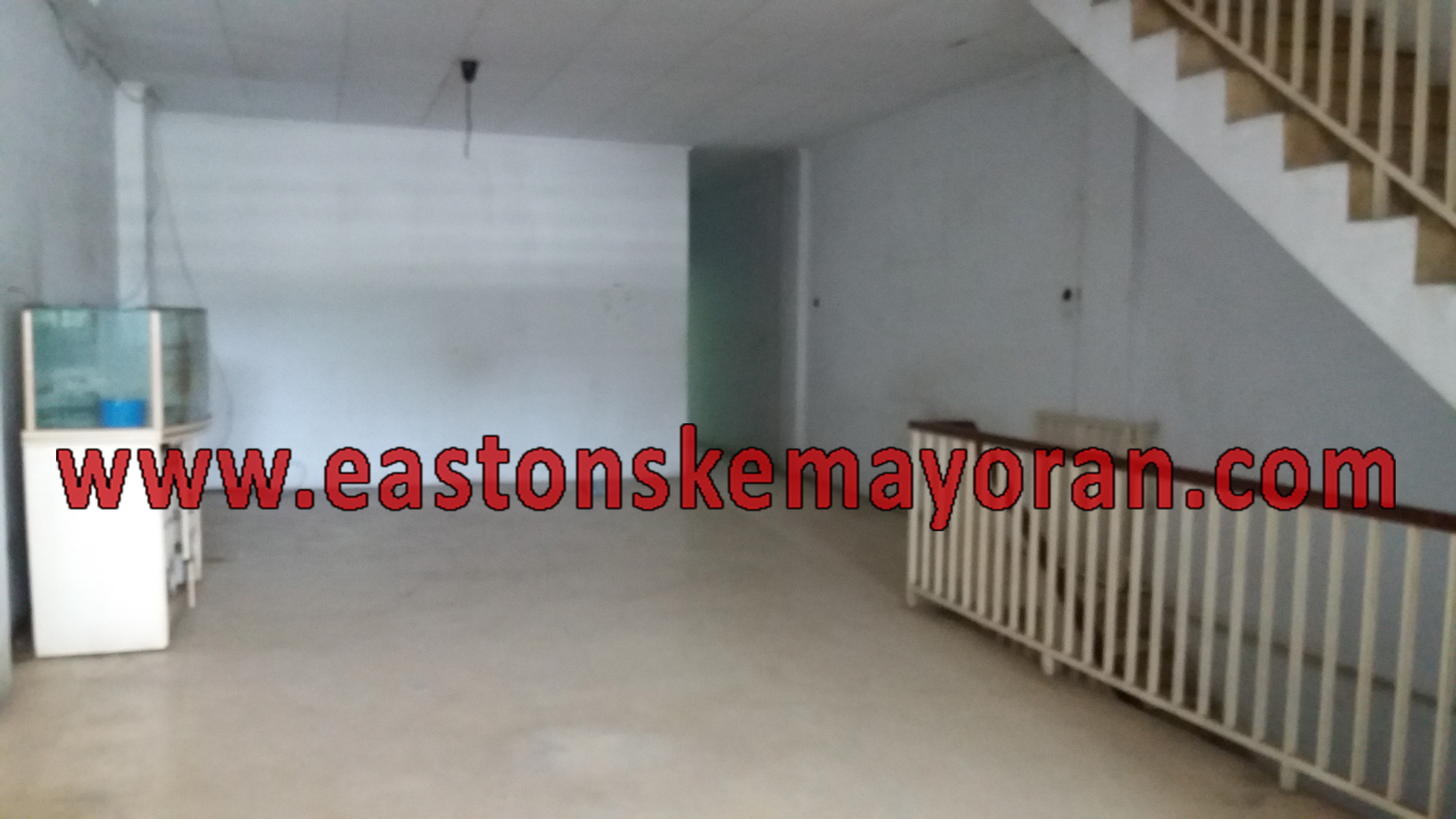 Mangga besar-KY003039