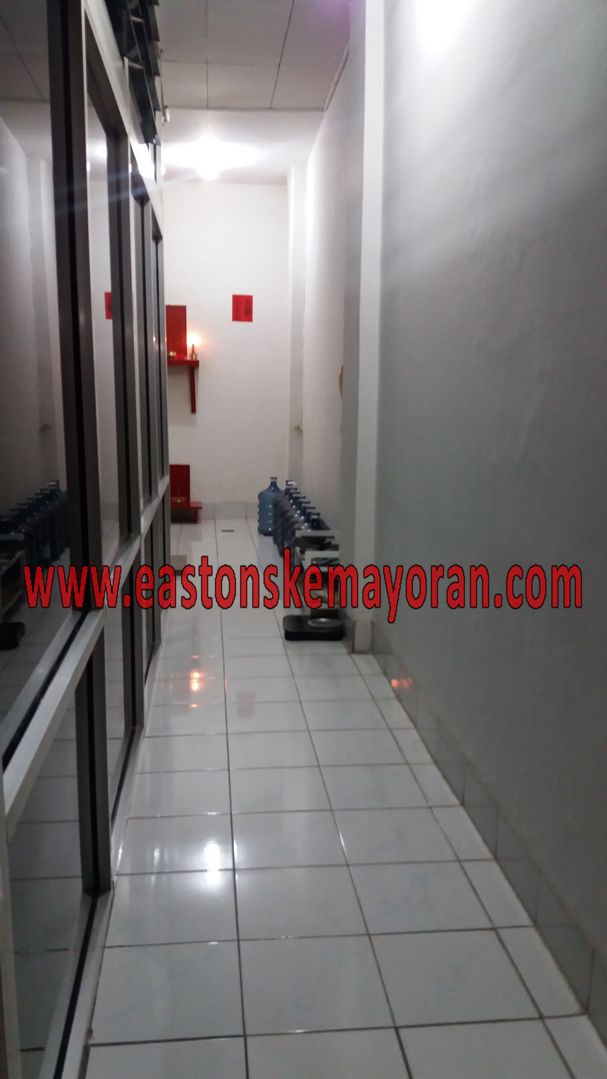Mangga besar-KY003151