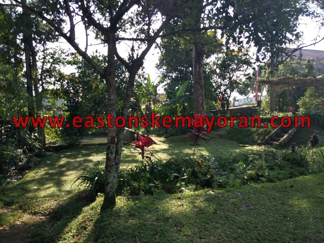 Puncak-KY003366