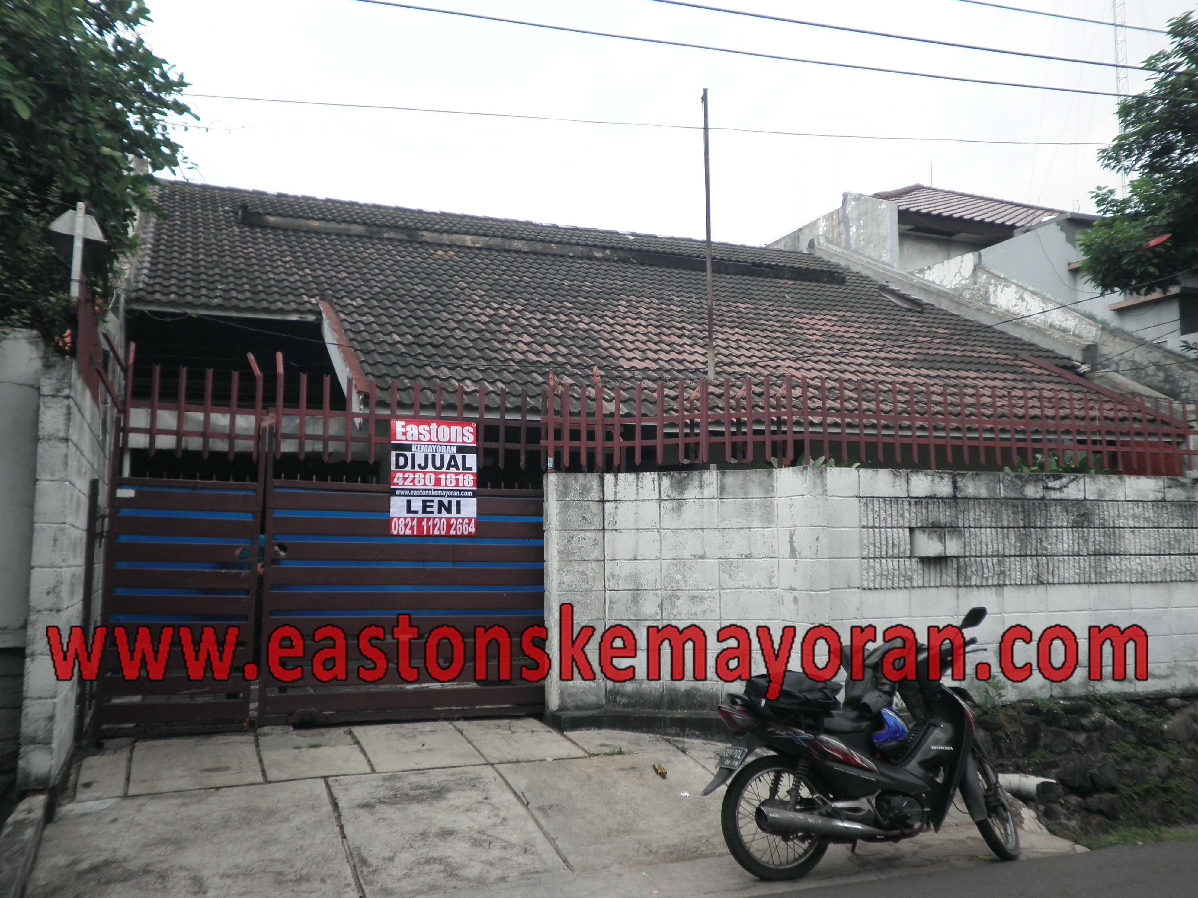 Kalibata-KY003334
