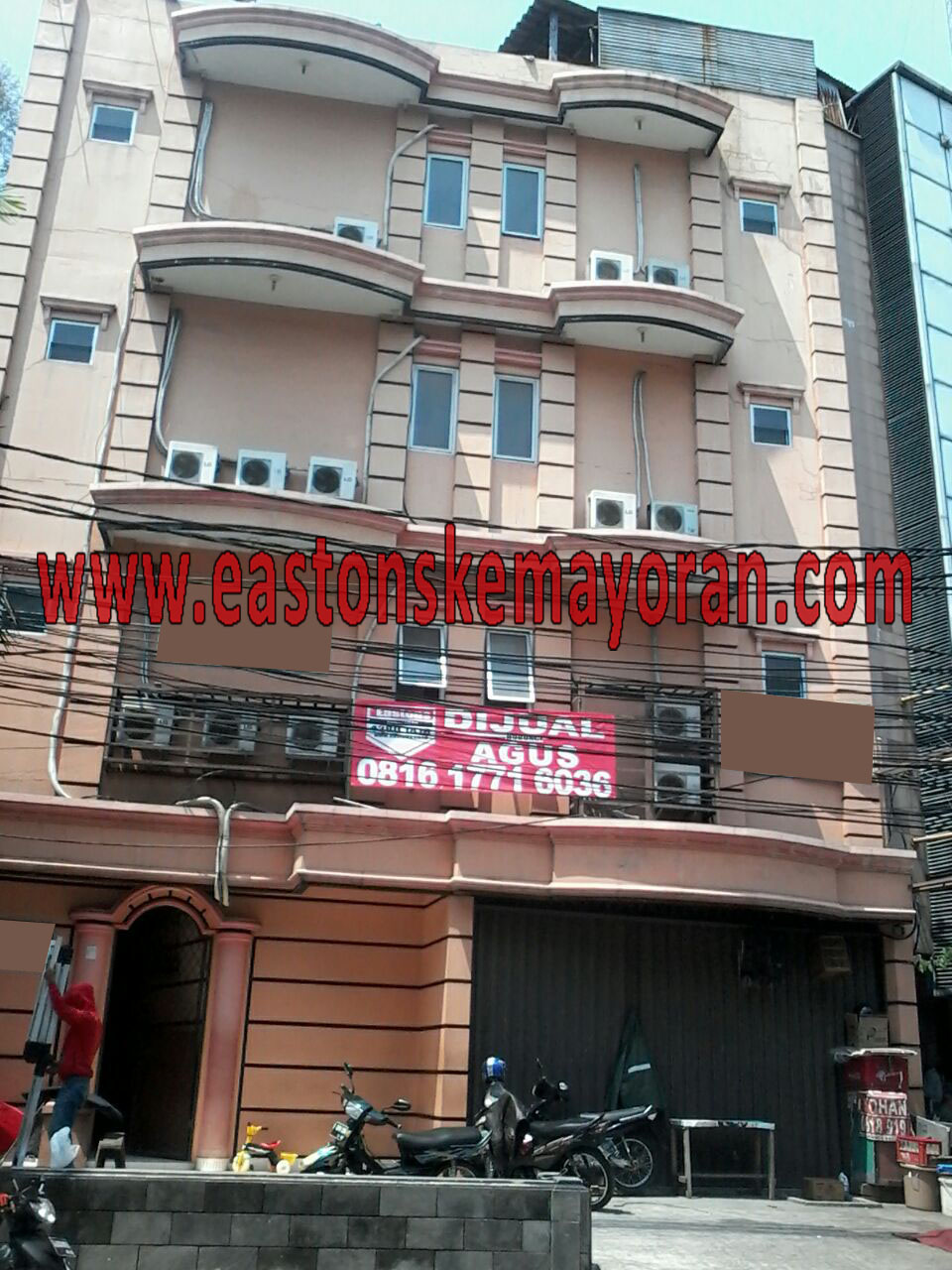 Mangga besar-KY003309