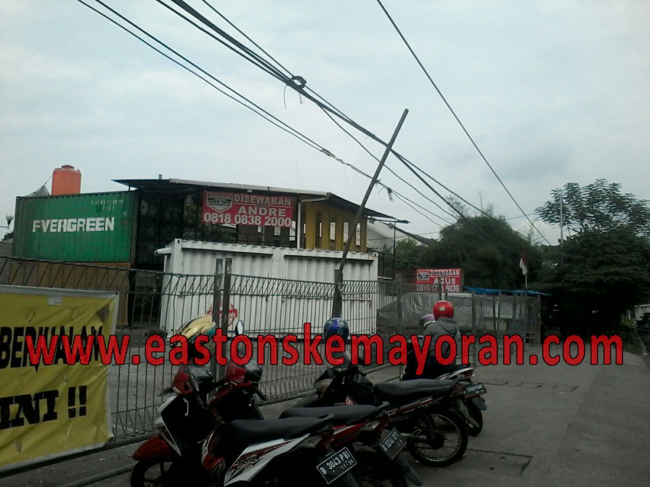 Kedoya raya-KY003305