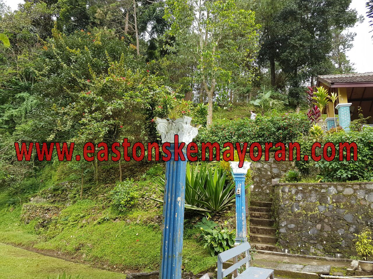 Puncak-KY003528