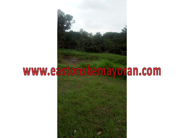 Purwasari-KY-008791