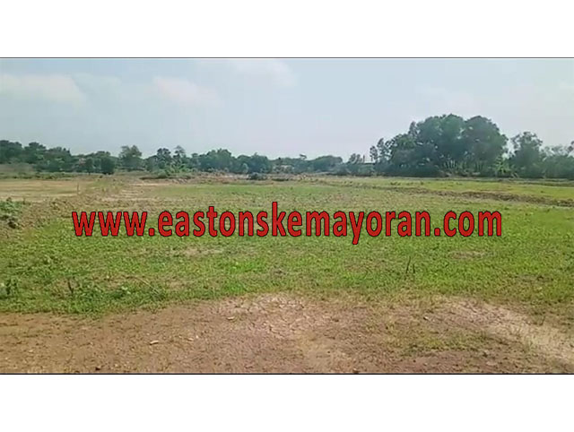 Serang baru-KY-009379
