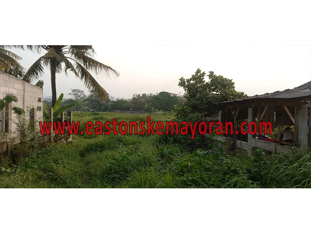 Klapanunggal-KY-010674