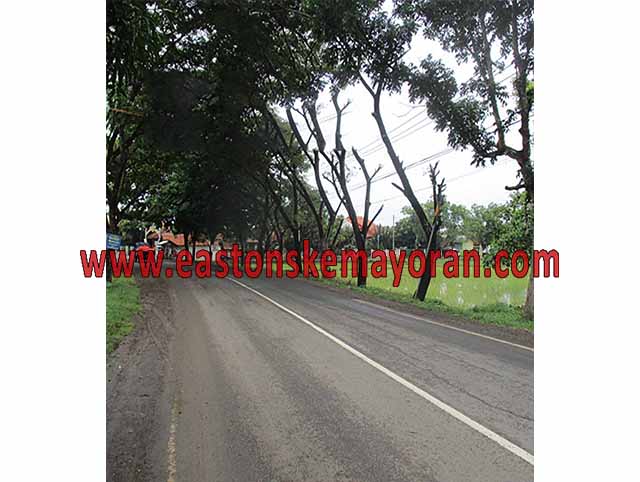 Lelang bank, cibogo-KY-011007