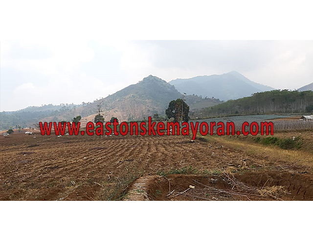 Lelang bank, arjasari-KY-011156