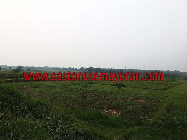 Lelang bank, serang-KY-011159