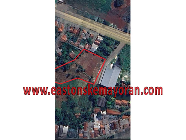 Kemang-KY-011234