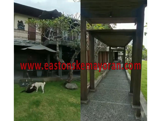 Kuta selatan-KY-011527