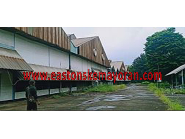 Bungursari-KY-011637