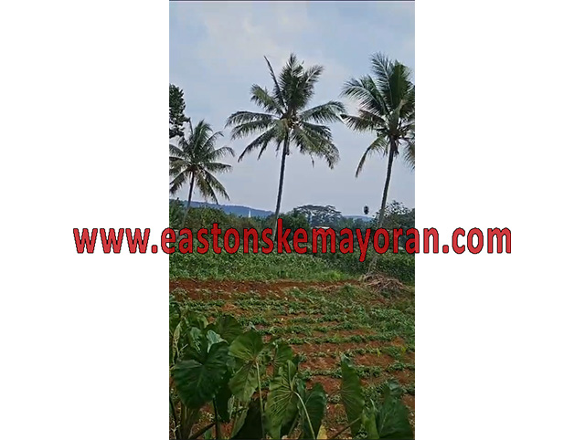 Parung-KY-011755