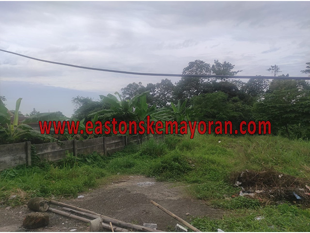 Tanah sereal-KY-011795