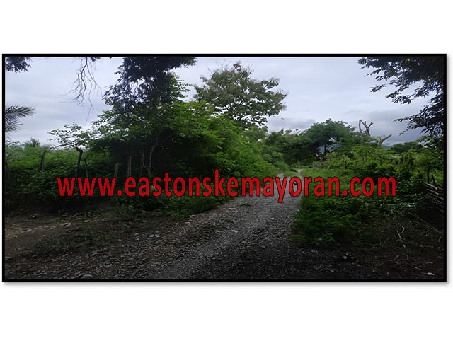 Lelang bank, ampana tete-KY-012050