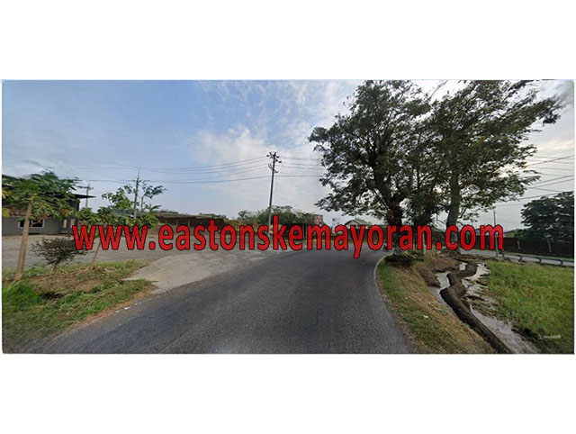 Belik-KY-012329