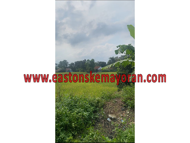 Legok-KY-012769