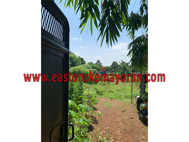Serang-KY-012771