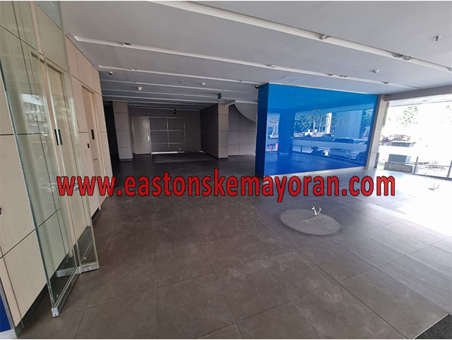 Kelapa gading-KY-013186