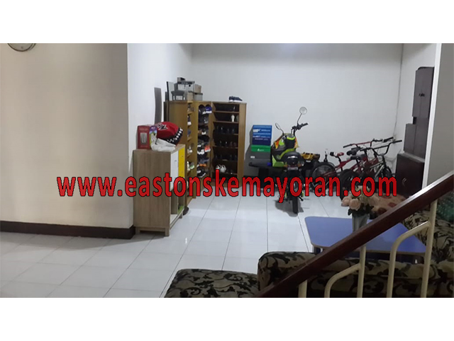 Kelapa gading-KY-013269