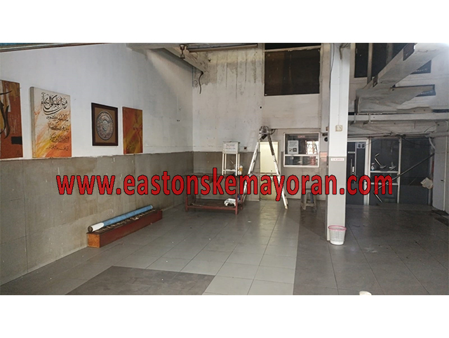 Cempaka putih-KY-013390