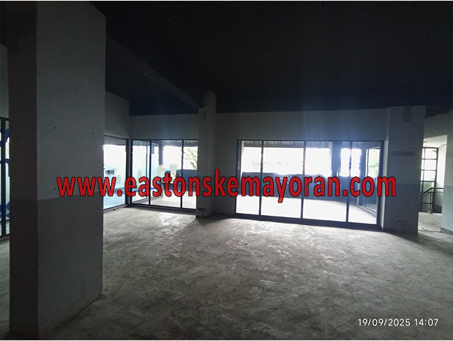 Cicendo-KY-013453