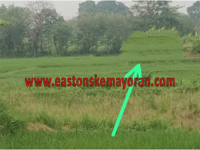 Jayanti-KY-013491