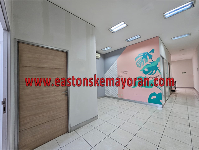 Cicendo-KY-013639