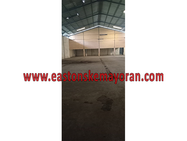 Tapos-KY-013666