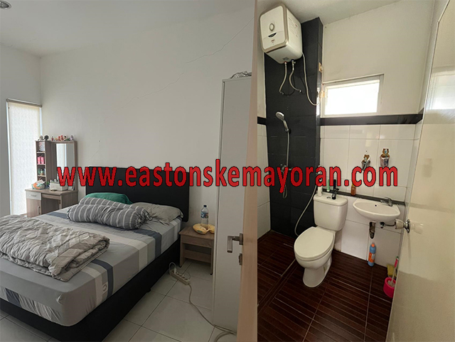 Kelapa gading-KY-013879