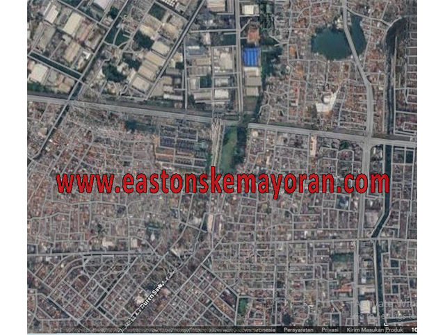 Duren sawit-KY-014000
