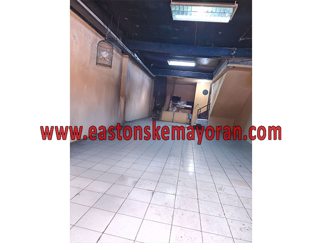 Gambir-KY-014088