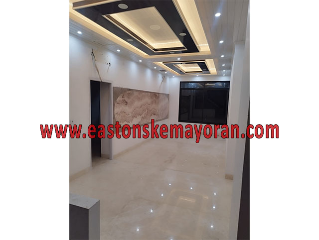 Kelapa gading-KY-014166
