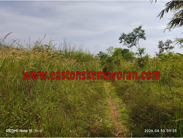 Cibatu-KY-014156