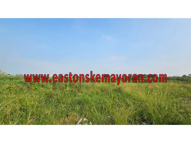 Klari-KY-014202